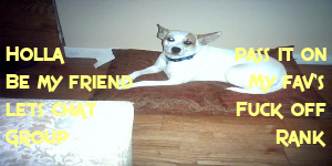 Animal