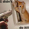 I Didn't Do It