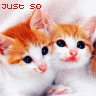 Just So Cute