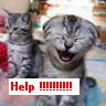 Help
