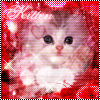 Kitten