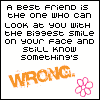 A Best Friend