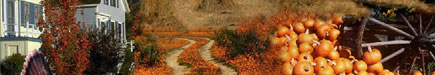 Holidays Myspace Extended Network Banners
