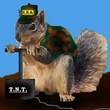 TNT