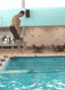 Clumsy Guy