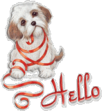 Hello Funny Dog