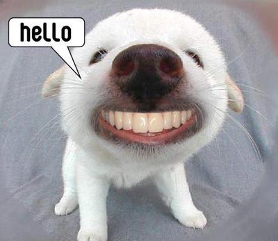Funny Hello