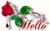 Hello Rose