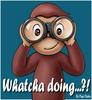 Whatcha Doing?