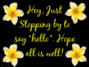 Hey, Just Stopping By To Say Hello