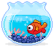 Fish Bowl