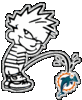 Calvin Peeing On Miami Dolphins