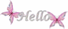 Hello Butterfly