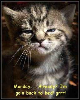 Monday grrrrr