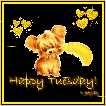 Happy Tuesday