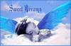 Sweet Dreams