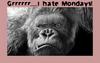 I hate Mondays