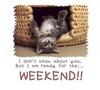 I am ready for the weekend