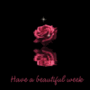 Beautiful Week