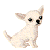 Little Puppy