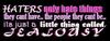 Haters Only Hate Things