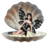 Shell Dreams