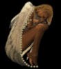 star angel