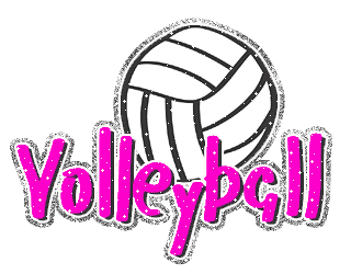 Voleyball