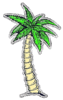 palmtree