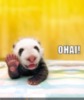 Hello!