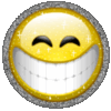 Picture Comments