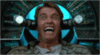 arnold