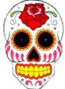 Multicolored Skull
