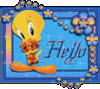 Hello