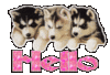 Hello