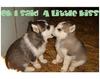 Ok I Said A Little Kiss