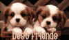 Best Friends