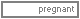 Pregnat Online