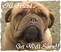 Hi Friend Get Well Soon