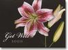 Get Well Soon Flowers