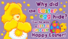 Why Did The Easter Egg Hide?