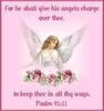 Psalm 91:11