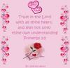 Trust In The Lord