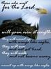 Those Who Wait For The Lord