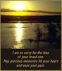I Am So Sorry For The Loss Of Your Loved One