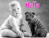 Hello Baby Dog