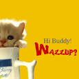 Hi Buddy