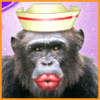 Kiss Monkey