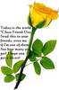 Close Friend Day