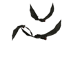 Flying Bats